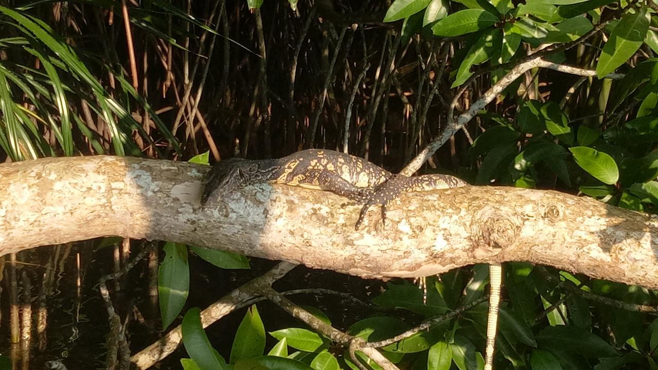 Mahi Villa Bentota Exteriör bild
