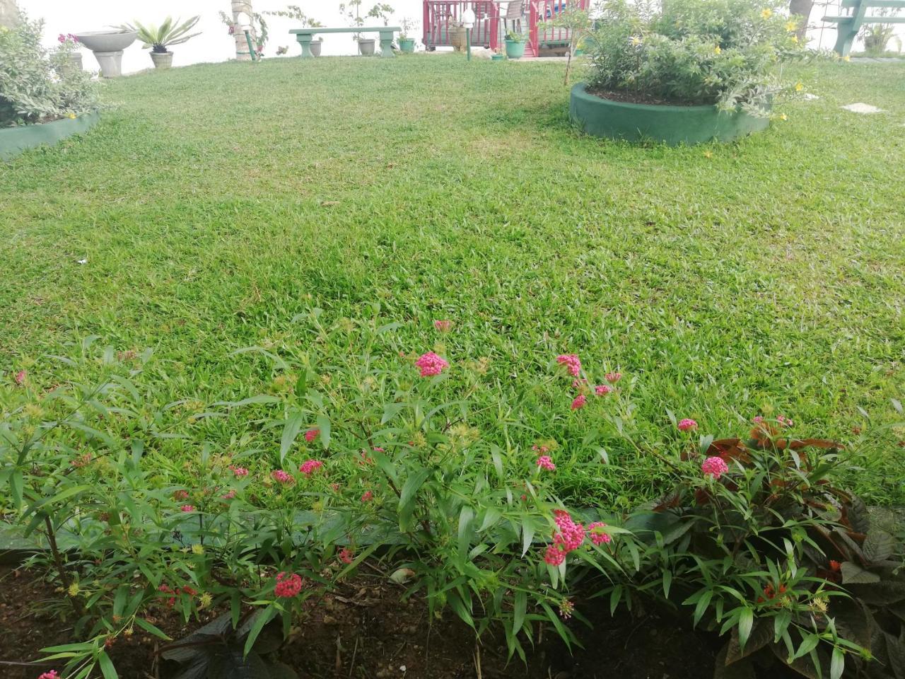 Mahi Villa Bentota Exteriör bild